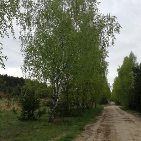 Anastazewo Szydlowiec מראה חיצוני תמונה