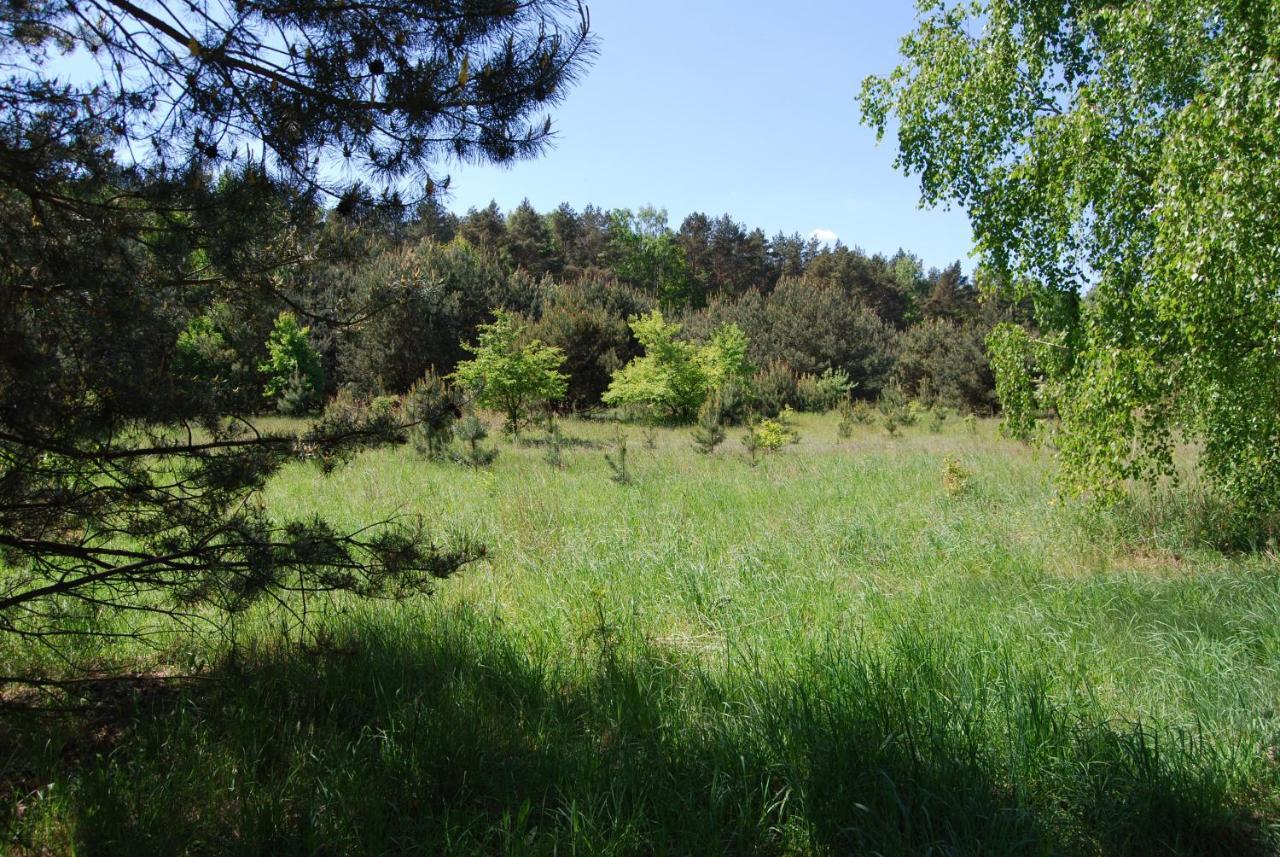Anastazewo Szydlowiec מראה חיצוני תמונה
