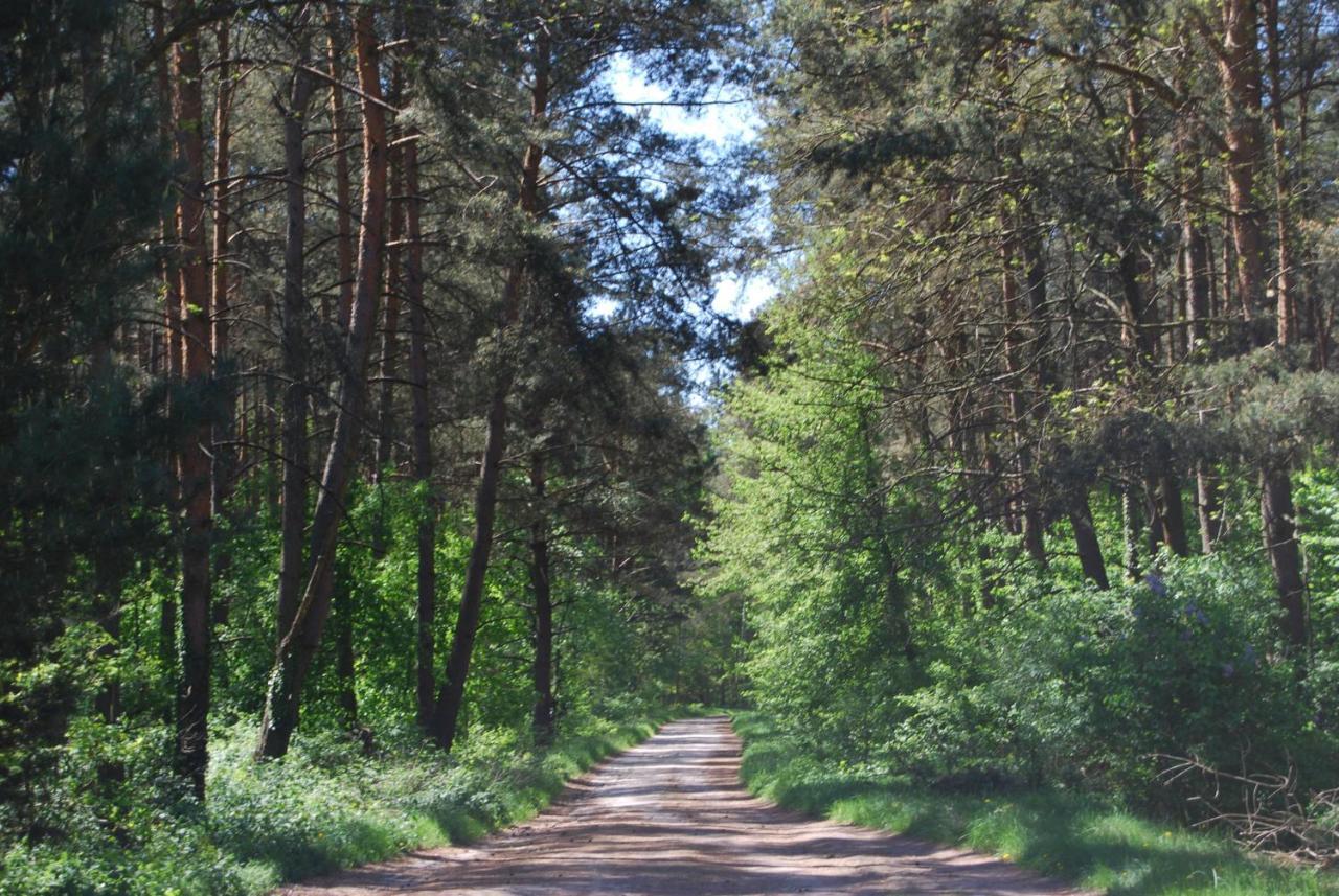 Anastazewo Szydlowiec מראה חיצוני תמונה