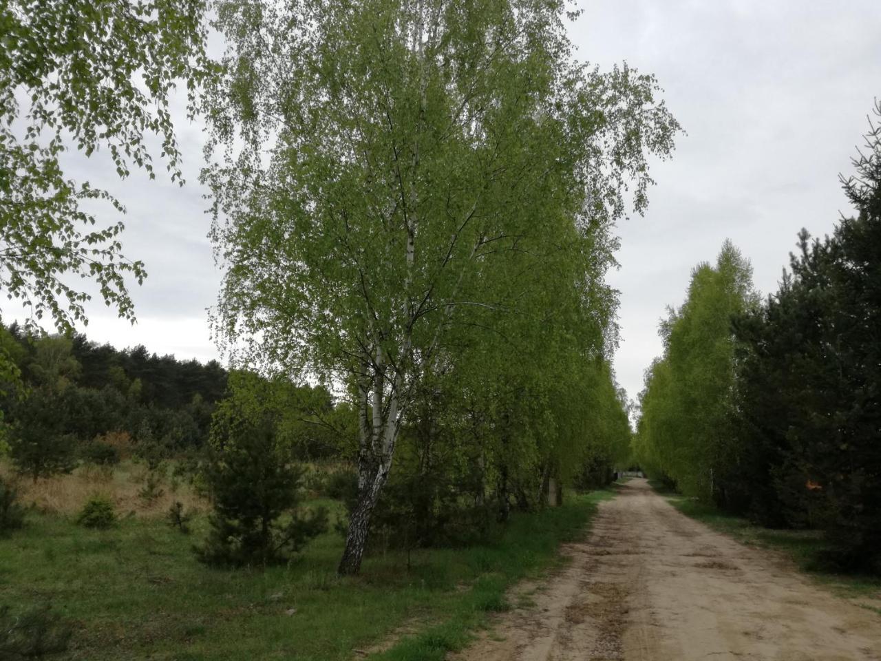 Anastazewo Szydlowiec מראה חיצוני תמונה